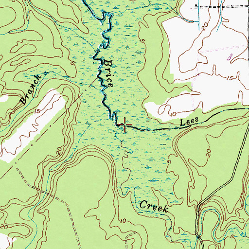 Topographic Map of Lees Branch, NC