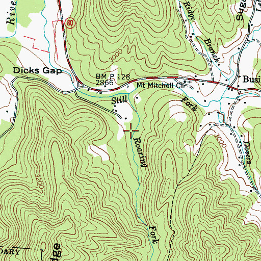 Topographic Map of Busic Nork Center, NC