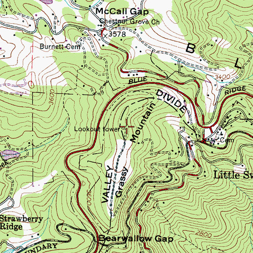 Topographic Map of Grassy Mountain, NC