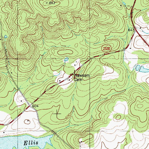 Topographic Map of Newsom Cemetery, NC
