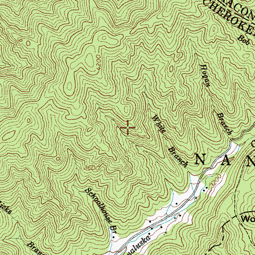 Topographic Map of CHoga Trail, NC
