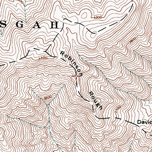 Topographic Map of Robinson Rough, NC