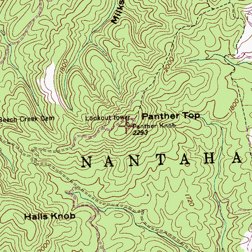 Topographic Map of Panther Top Lookout, NC