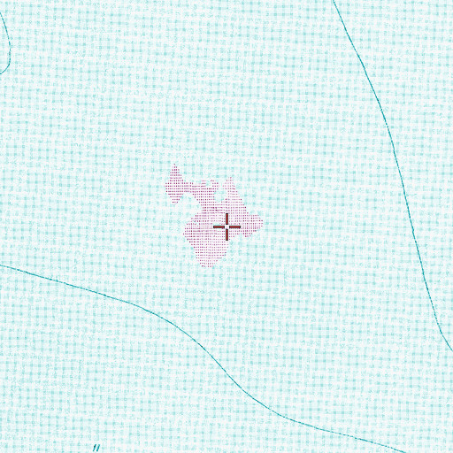 Topographic Map of Brant Island (historical), NC