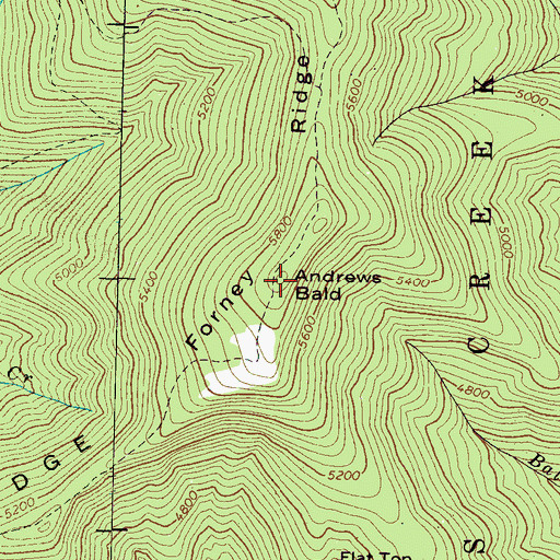 Topographic Map of Andrews Bald, NC