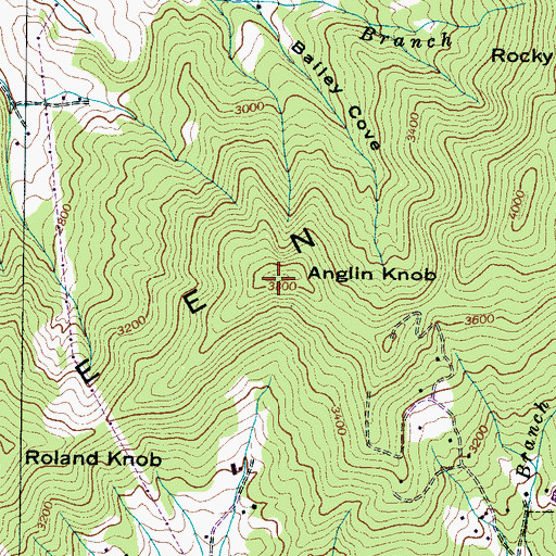 Topographic Map of Anglin Knob, NC