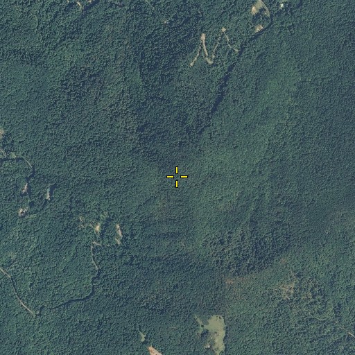 Aerial/Satellite Image of Bailey Hill, NC