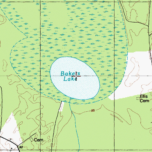 Topographic Map of Bakers Lake, NC
