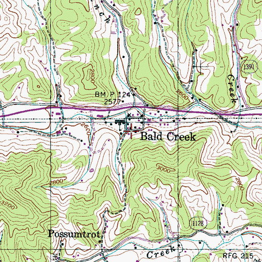 Topographic Map of Bald Creek, NC