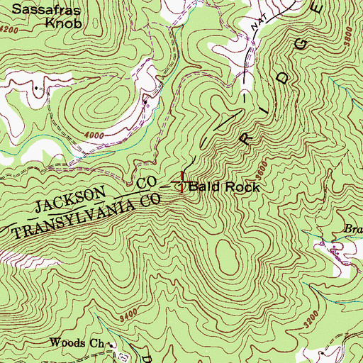Topographic Map of Bald Rock, NC