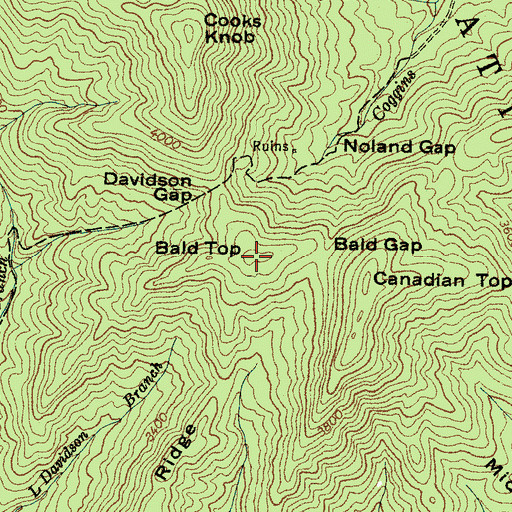 Topographic Map of Bald Top, NC