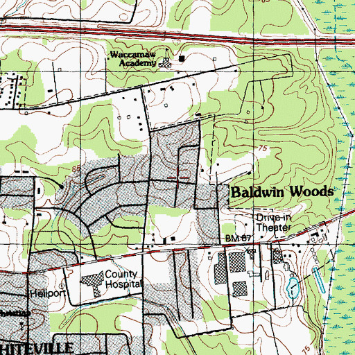 Topographic Map of Baldwin Woods, NC