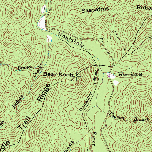 Topographic Map of Bear Knob, NC