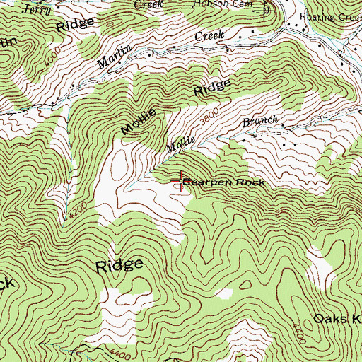 Topographic Map of Bearpen Rock, NC