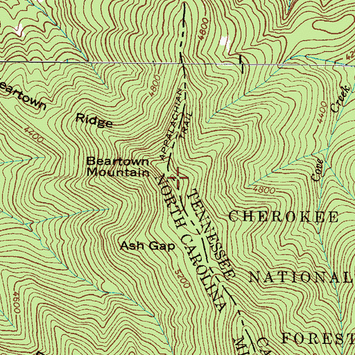 Topographic Map of Beartown Mountain, NC