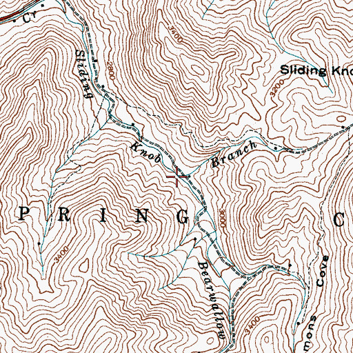Topographic Map of Bearwallow Branch, NC