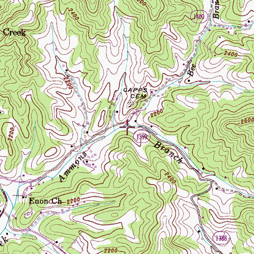 Topographic Map of Bee Branch, NC