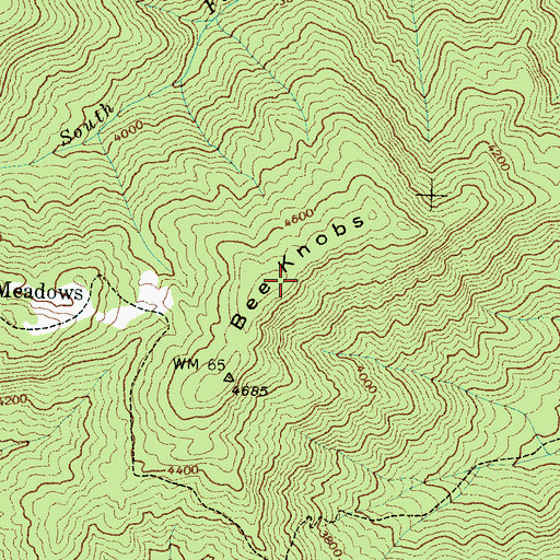 Topographic Map of Bee Knobs, NC