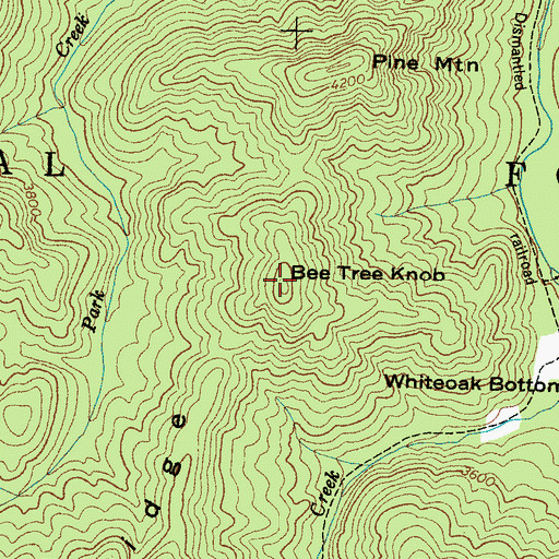 Topographic Map of Bee Tree Knob, NC