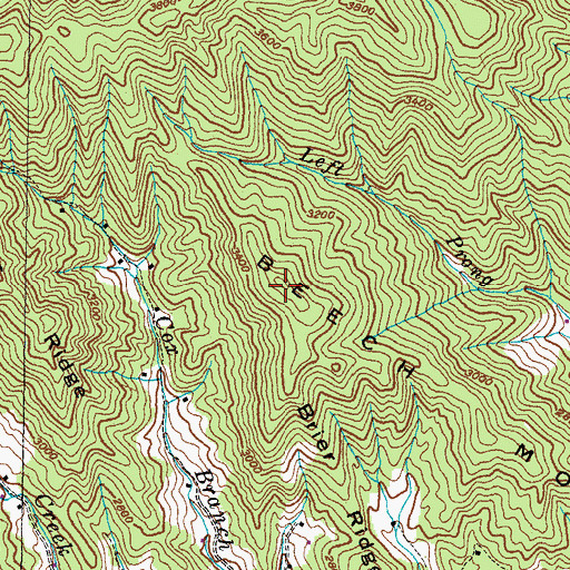 Topographic Map of Beech Mountain, NC