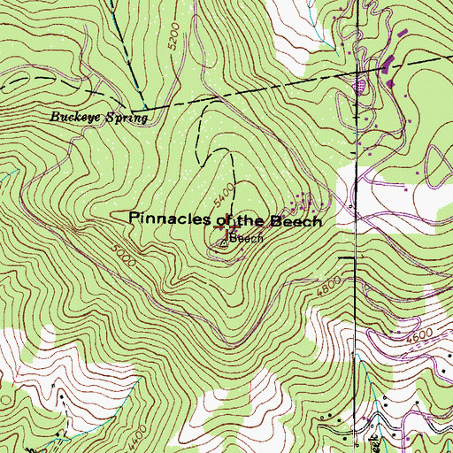 Topographic Map of Beech Mountain, NC