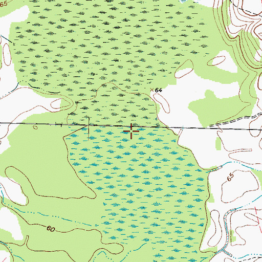 Topographic Map of Beech Swamp, NC