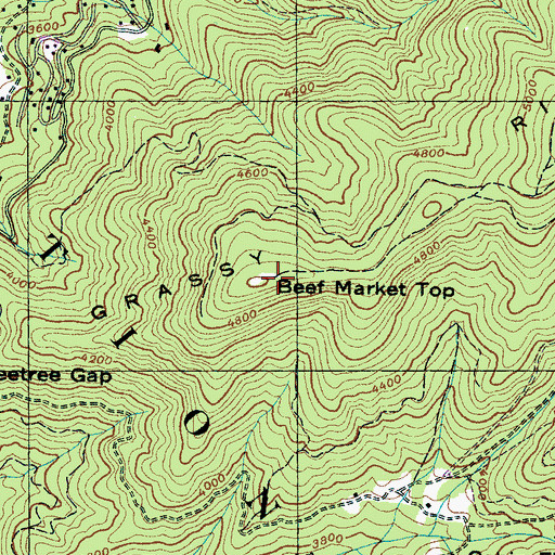 Topographic Map of Beef Market Top, NC