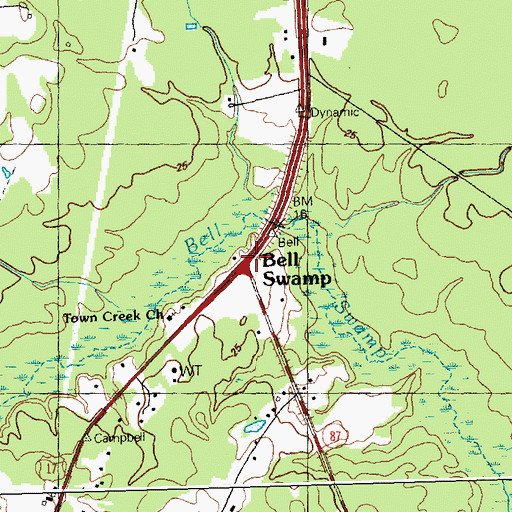 Topographic Map of Bell Swamp, NC