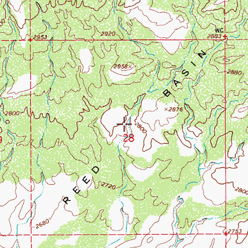 Topographic Map of Reed Basin, AZ