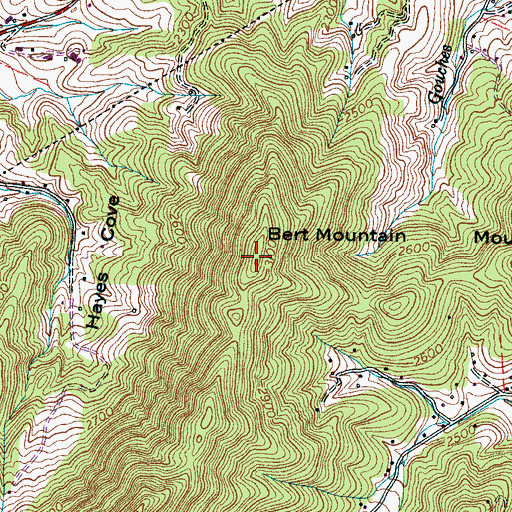 Topographic Map of Bert Mountain, NC