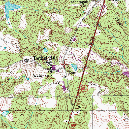 Topographic Map of Bethel Hill, NC