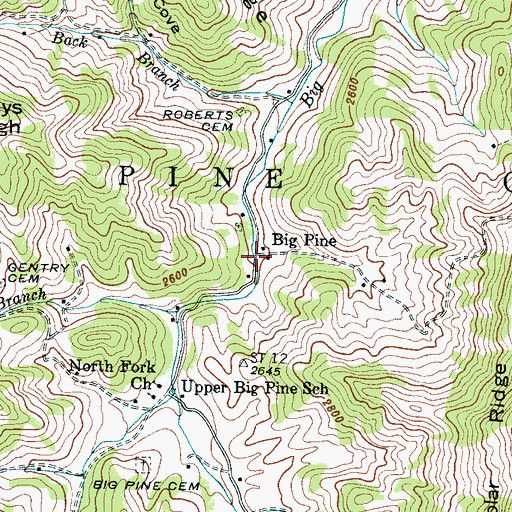 Topographic Map of Big Pine, NC