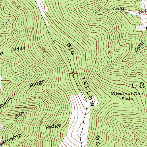 Topographic Map of Big Yellow Mountain, NC