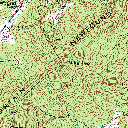 Topographic Map of Billie Top, NC