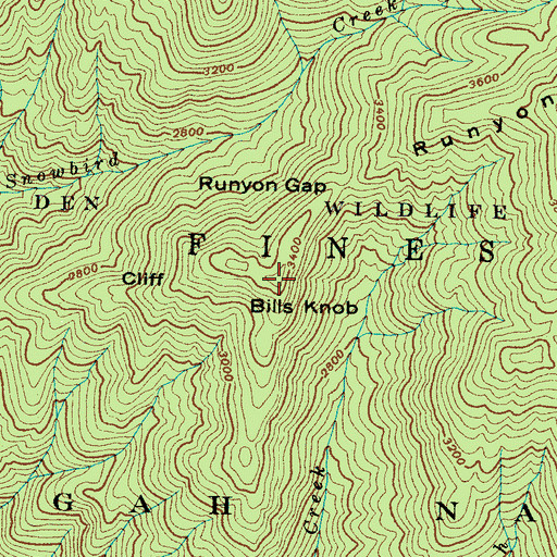 Topographic Map of Bills Knob, NC