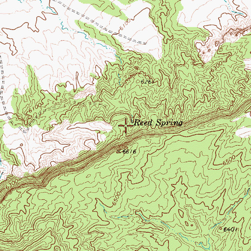 Topographic Map of Reed Spring, AZ