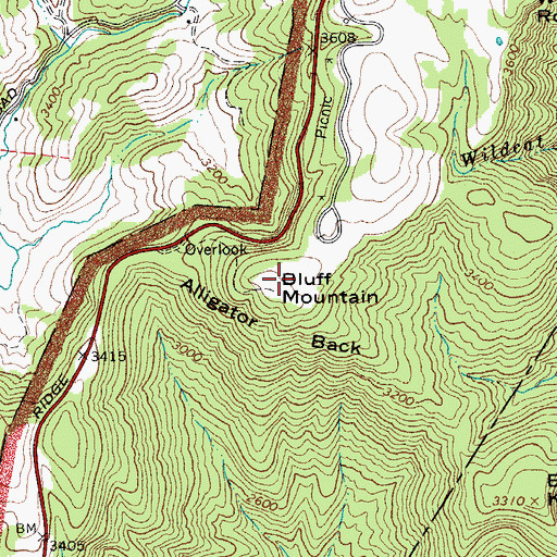 Topographic Map of Bluff Mountain, NC