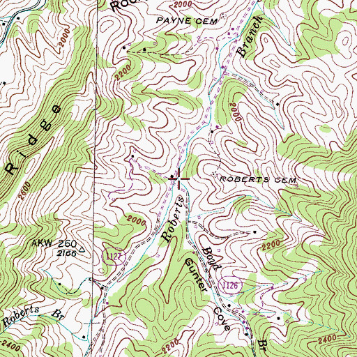Topographic Map of Boyd Branch, NC
