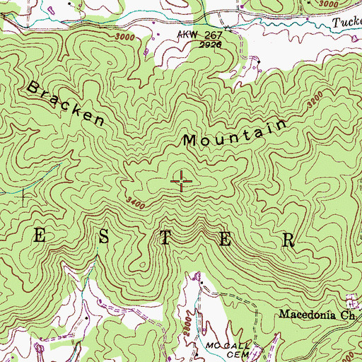 Topographic Map of Bracken Mountain, NC