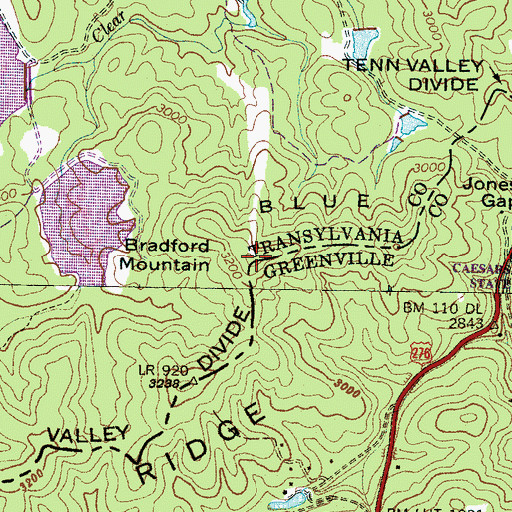 Topographic Map of Bradford Mountain, NC
