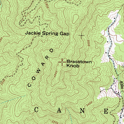 Topographic Map of Brasstown Knob, NC