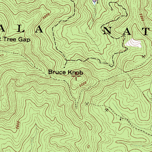 Topographic Map of Bruce Knob, NC