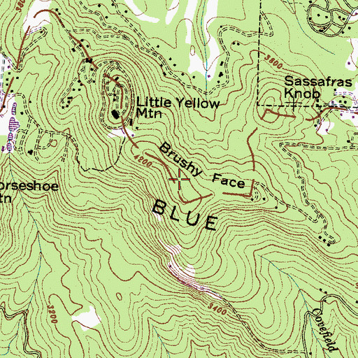 Topographic Map of Brushy Face, NC