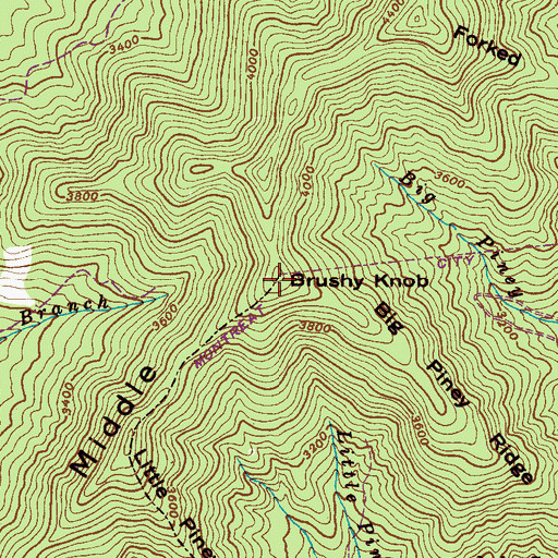 Topographic Map of Brushy Knob, NC