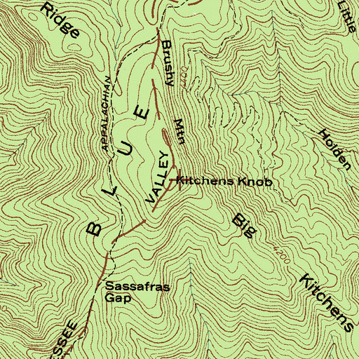 Topographic Map of Brushy Mountain, NC