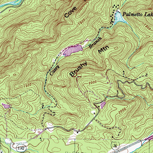 Topographic Map of Brushy Mountain, NC