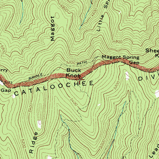 Topographic Map of Buck Knob, NC
