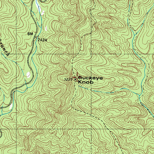 Topographic Map of Buckeye Knob, NC