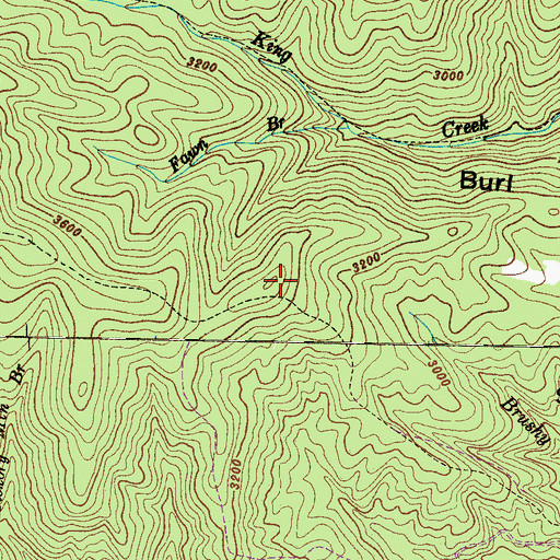 Topographic Map of Burl Mountain, NC