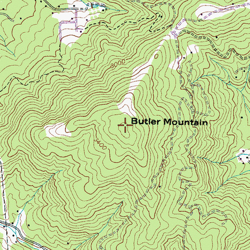 Topographic Map of Butler Mountain, NC